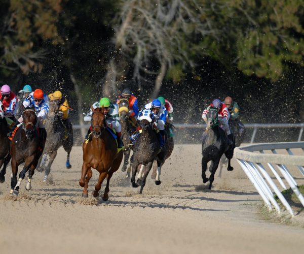 6 wybitnych koni wyścigowych, które zapisały się w historii światowego jeździectwa